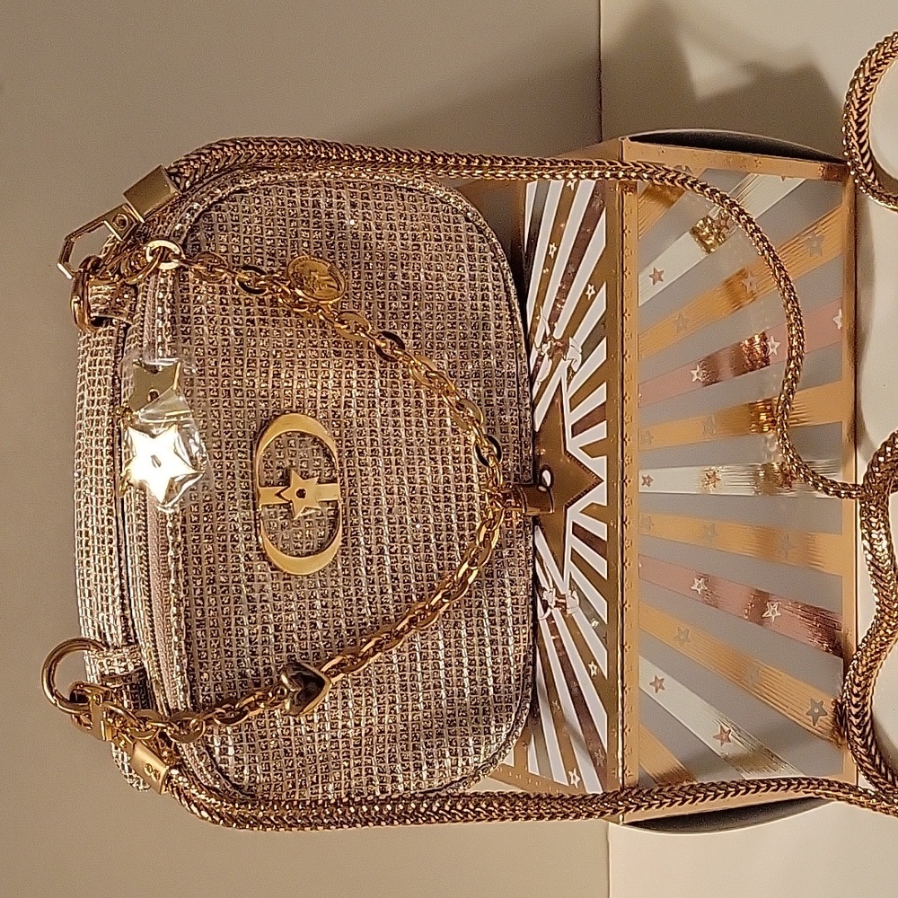 Dior Gold Pouch
